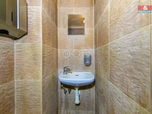 Pronájem restaurace, Plzeň - Jižní Předměstí, Klatovská třída, 111 m2