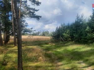 Prodej lesa, Březovice, 108447 m2