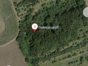 Prodej lesa, Drslavice, 295 m2