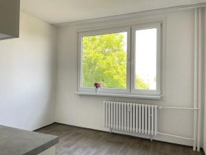 Pronájem bytu 1+1, Litvínov, U Bílého sloupu, 42 m2
