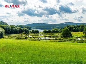 Prodej komerčního pozemku, Nová Pec, 16305 m2