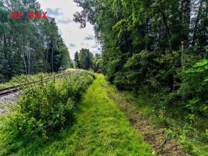 Prodej komerčního pozemku, Nová Pec, 16305 m2