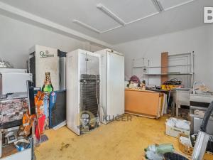 Prodej ubytování, Velká Chmelištná, 550 m2