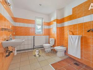 Prodej komerční nemovitosti, Velká Chmelištná, 550 m2