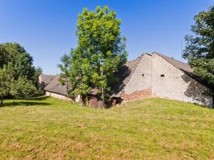 Prodej zemědělské usedlosti, Horní Pěna, 450 m2