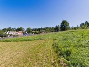 Prodej zemědělské usedlosti, Horní Pěna, 450 m2