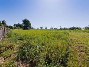 Prodej zemědělské usedlosti, Horní Pěna, 450 m2