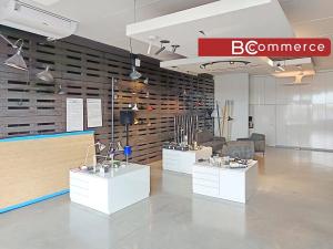 Pronájem obchodního prostoru, Brno, 216 m2