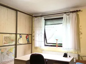 Prodej komerční nemovitosti, Česká Ves, Úzká, 280 m2