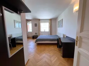 Pronájem bytu 1+kk, Praha - Nové Město, Hálkova, 30 m2