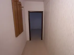 Pronájem bytu 1+1, Brno, Rerychova, 45 m2