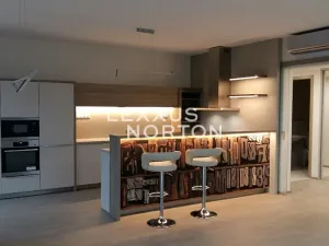 Pronájem bytu 4+kk, Praha - Holešovice, Sanderova, 137 m2