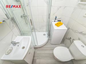 Pronájem bytu 1+kk, Praha - Smíchov, Holečkova, 22 m2