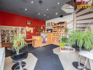 Prodej obchodního prostoru, Brno, Zemědělská, 57 m2