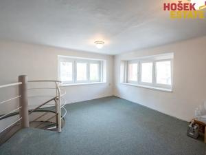 Prodej obchodního prostoru, Brno, Zemědělská, 57 m2