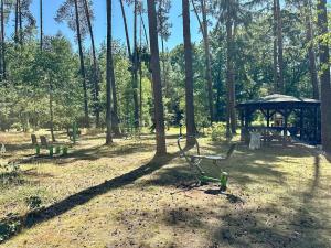 Prodej pozemku pro bydlení, Čermná nad Orlicí, 4174 m2