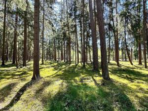 Prodej pozemku pro bydlení, Čermná nad Orlicí, 4174 m2