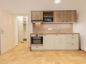 Pronájem bytu 1+kk, Olomouc, Šemberova, 30 m2