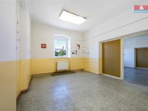 Pronájem výrobních prostor, Přeštice, Veleslavínova, 918 m2