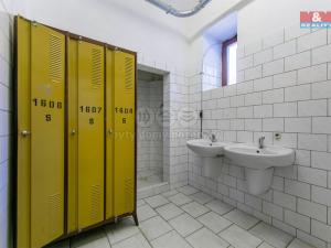 Pronájem výrobních prostor, Přeštice, Veleslavínova, 918 m2