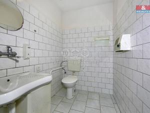 Pronájem výrobních prostor, Přeštice, Veleslavínova, 918 m2