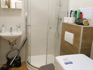 Pronájem bytu 1+kk, Brno, Vlhká, 21 m2
