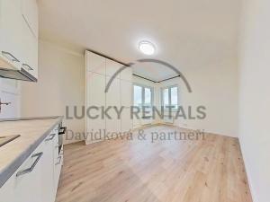 Pronájem bytu 1+kk, Praha - Podolí, Levá, 27 m2