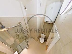 Pronájem bytu 1+kk, Praha - Podolí, Levá, 27 m2