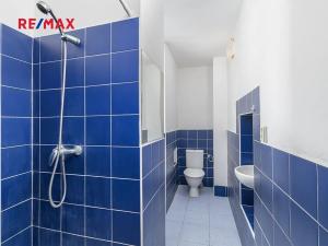 Pronájem bytu 1+kk, Plzeň, Skvrňanská, 30 m2