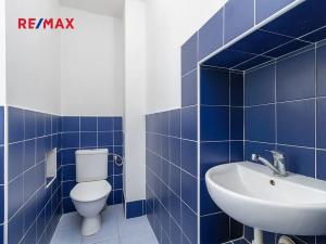 Pronájem bytu 1+kk, Plzeň, Skvrňanská, 30 m2