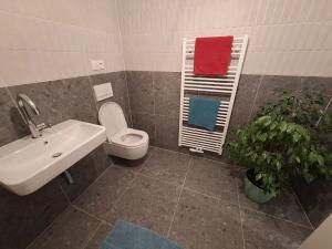 Pronájem bytu 1+kk, Brno, Bratislavská, 39 m2