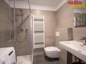 Prodej bytu 1+kk, Brno, Střední, 36 m2