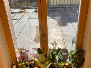 Pronájem bytu 2+kk, Praha - Košíře, Vrchlického, 40 m2