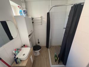 Prodej rodinného domu, Mladá Boleslav, Jana Roháče z Dubé, 180 m2
