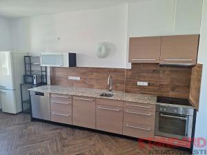 Pronájem bytu 3+kk, Plzeň, Anglické nábřeží, 95 m2