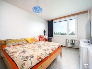 Prodej bytu 4+1, Seč, Sídl. 9. května, 90 m2