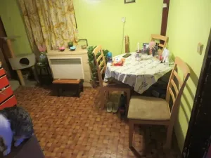 Dražba rodinného domu, Borkovany, 245 m2