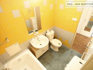 Pronájem bytu 1+kk, Jihlava, Palackého, 35 m2