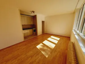 Pronájem bytu 3+kk, Litoměřice, Družstevní, 52 m2
