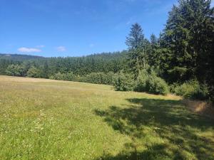 Prodej louky, Meziměstí, 15962 m2