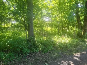 Prodej pozemku pro bydlení, Staré Křečany, 2547 m2