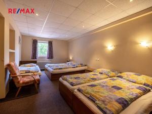 Prodej vícegeneračního domu, Doksy, Pod Borným, 1700 m2