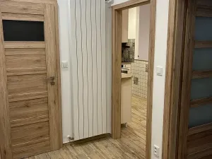 Pronájem bytu 2+kk, Praha - Nusle, Nad Jezerkou, 45 m2