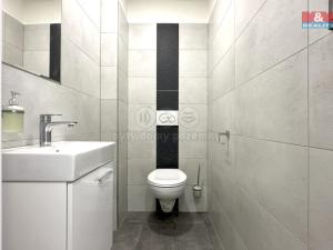 Pronájem bytu 3+kk, Ostrava - Radvanice, Těšínská, 82 m2