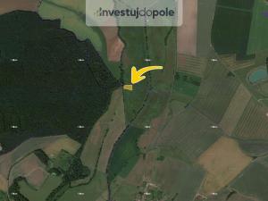 Prodej louky, Smidary, 911 m2