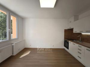 Pronájem bytu 1+kk, Tábor, Jaselská, 20 m2