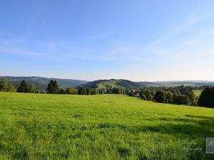 Prodej rodinného domu, Kraslice, Pod lesem, 135 m2