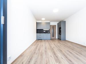 Pronájem bytu 1+kk, Praha - Háje, Výstavní, 33 m2