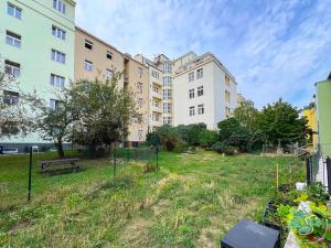 Pronájem bytu 2+kk, Praha - Žižkov, Řehořova, 50 m2