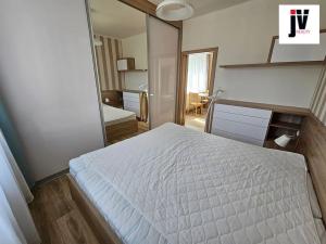 Pronájem bytu 3+kk, Plzeň, Mánesova, 62 m2